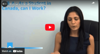 Work as a International Student Video