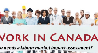 Who Needs a Labour Market Impact Assessment LMIA