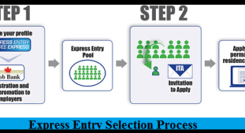Express Entry Selection Process