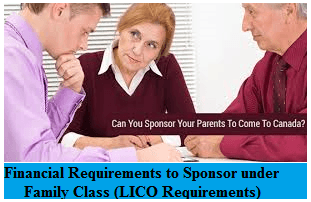 Financial-Requirements-to-sponsor-under-the-Family-Class.png