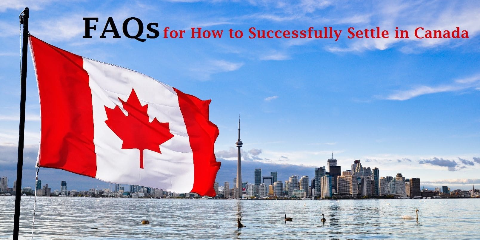 FAQs-for-How-to-Successfully-Settle-in-Canada.jpg