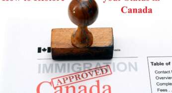 How to Restore your Status in Canada
