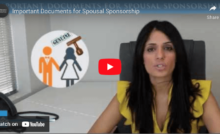 Video Cover Image