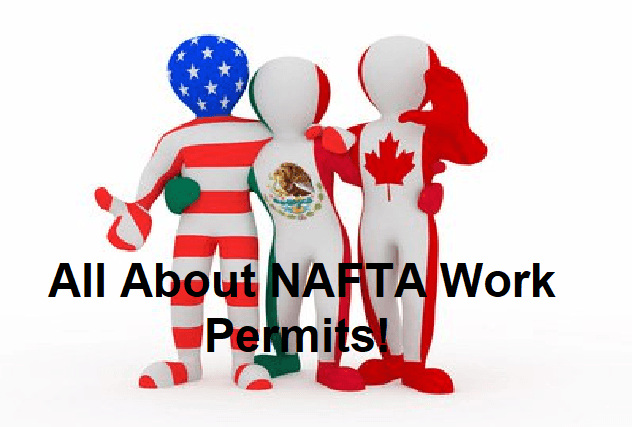 What-a-NAFTA-work-permit-is.png