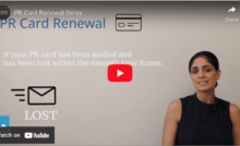 Video Cover Image