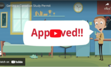 Video Cover Image