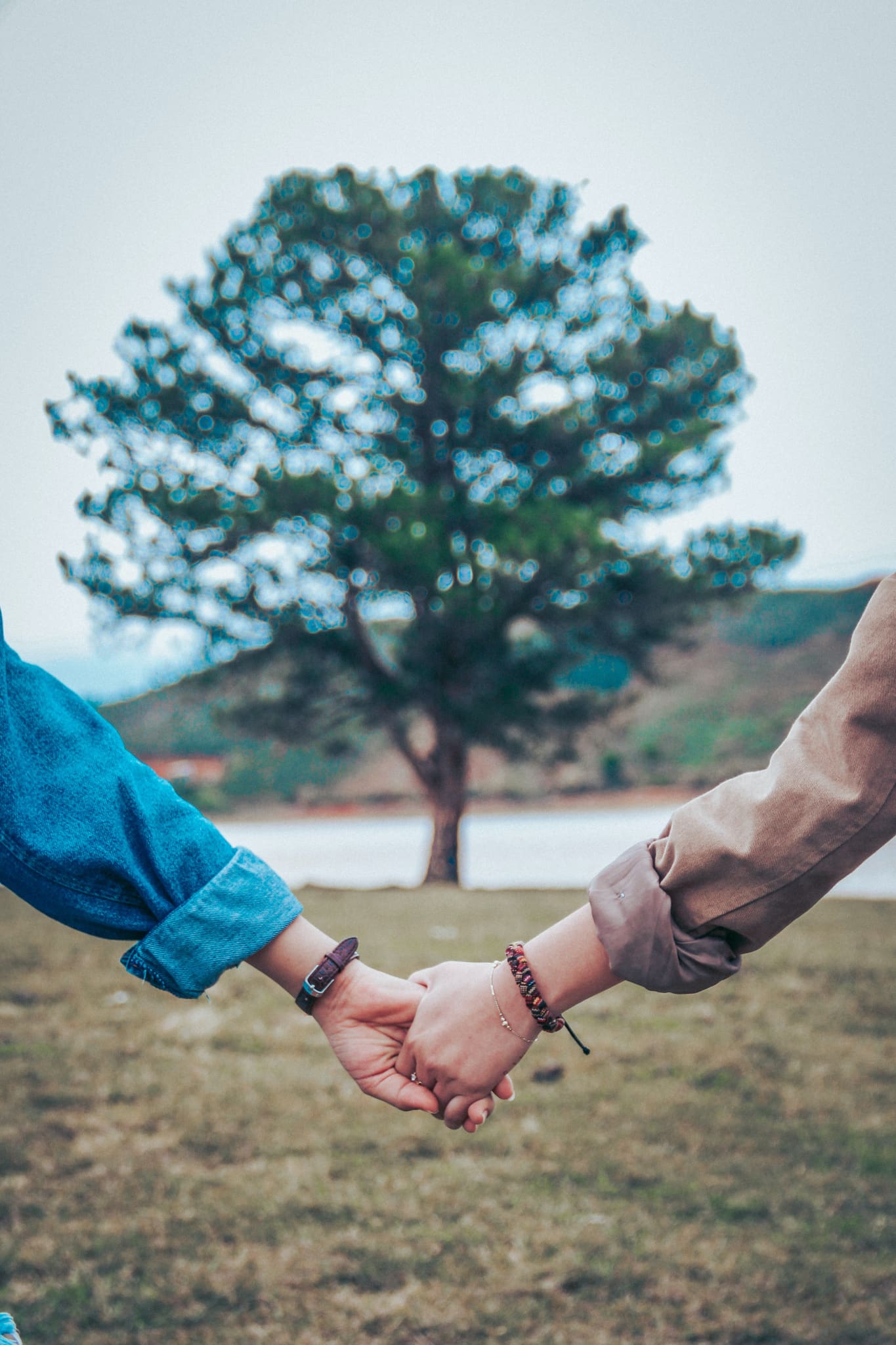 Conjugal Photo by Dương Hữu on Unsplash Couple holding hands in front of a tree.