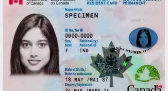 PR Card Renewal Without Meeting Residency Obligation