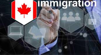 C11 vs Intra-Company Transfer (ICT): Understanding the Difference Between Business Immigration Pathways