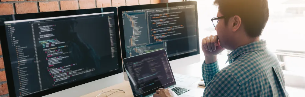 IT Professional Immigration Canada